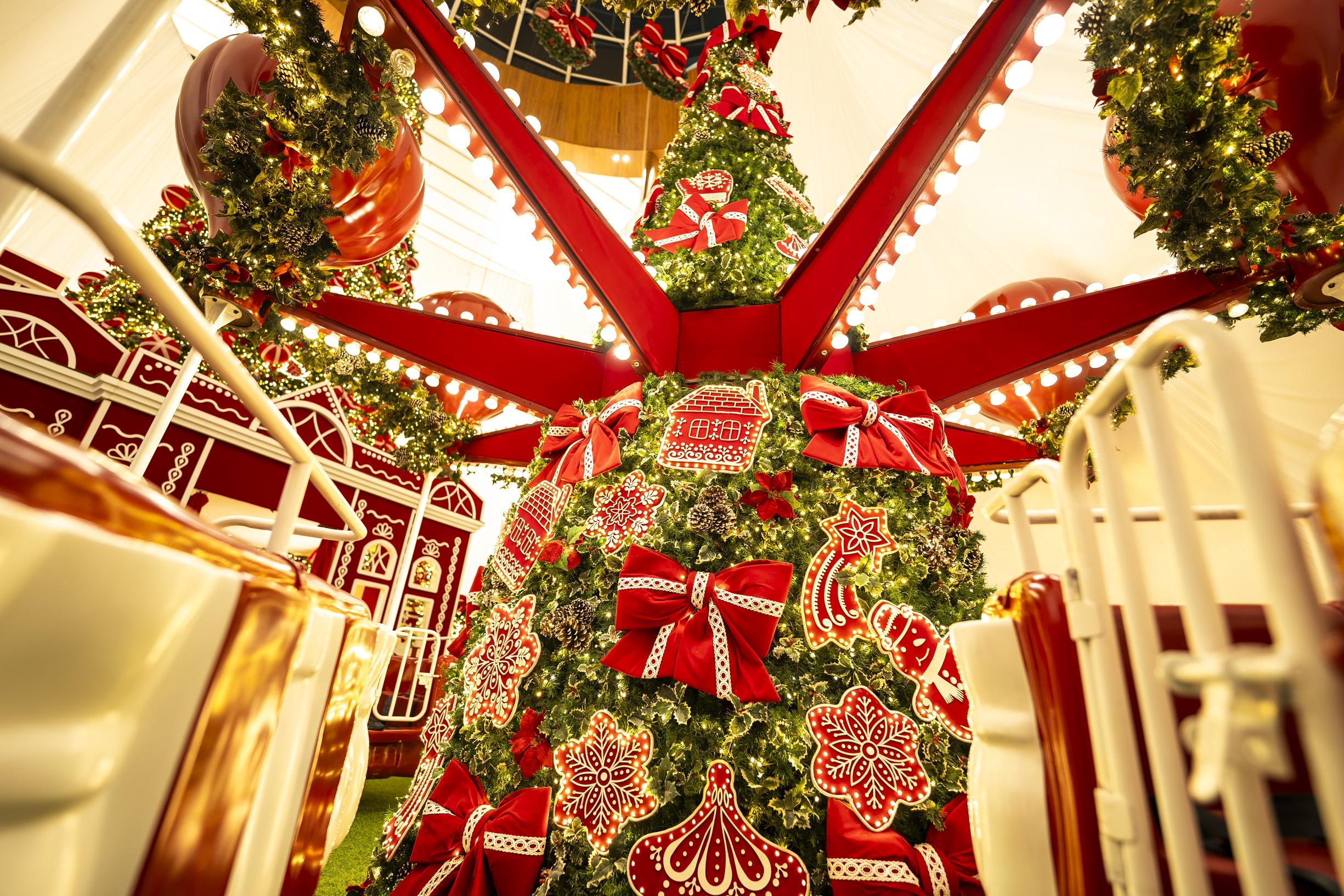 Encanto das luzes e árvores deixa o momento mais lúdico